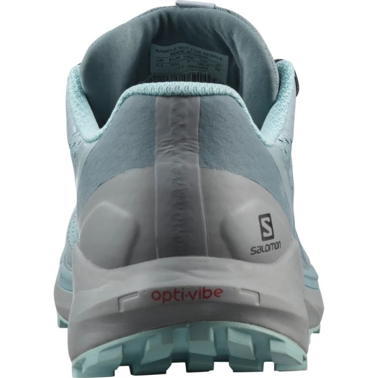 Tenis Para Trail Running Salomon Sense Ride 4 GTX Invisible Fit Mujer Azules Claro | MX QWBO958